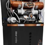 Kinsco Aqua Accent ISI Mark 15 L RO + UV + UF + Copper Guard + pH enhancer Water Purifier (Black)